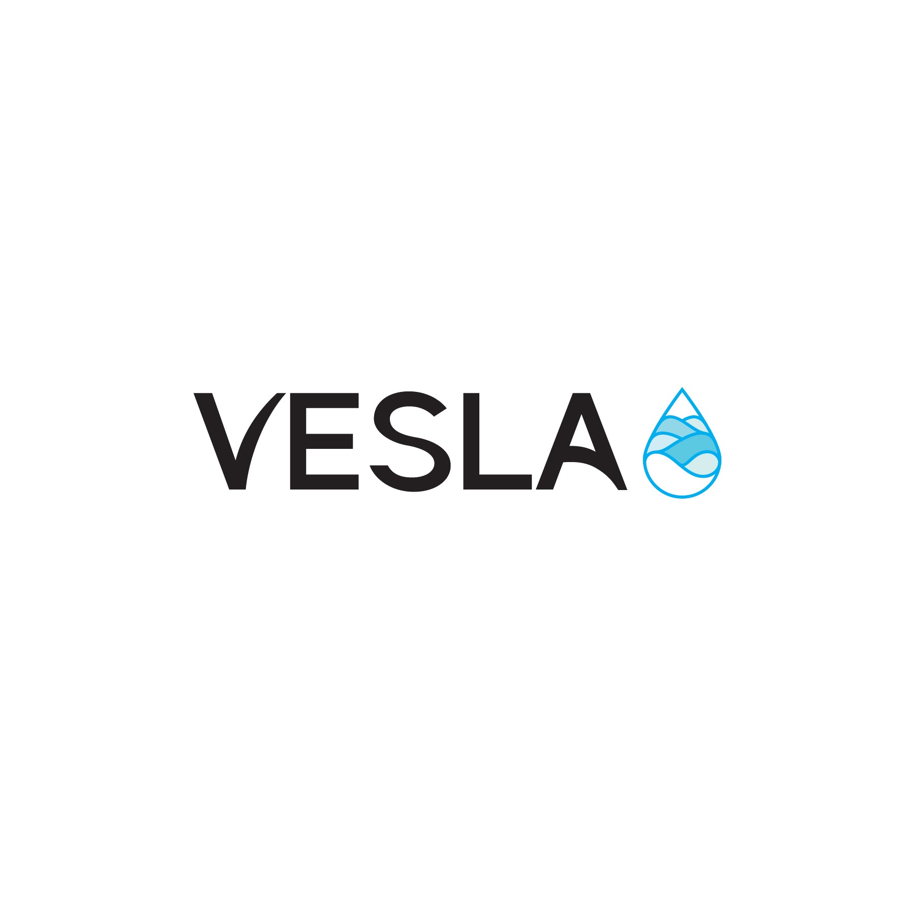 Vesla Coupons & Promo Codes