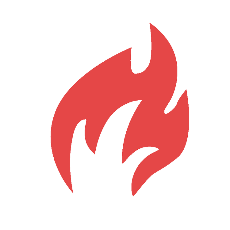 BlazeVideo Coupons & Promo Codes