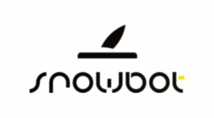 TheSnowbot Coupons & Promo Codes