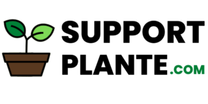 SUPPORT PLANTE